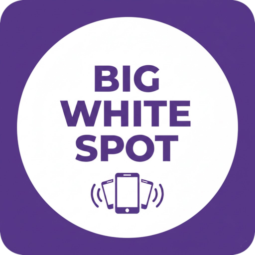 BWS Logo